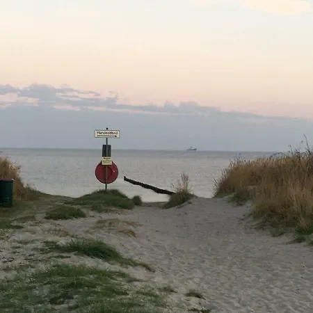 Duenenrose 7 * Boergerende-Rethwisch