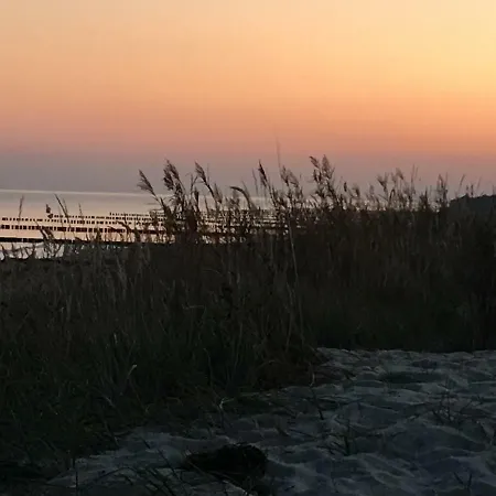 Duenenrose 7 Apartment *