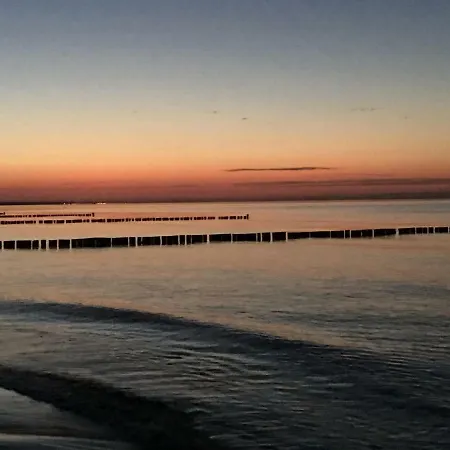 Duenenrose 7 Boergerende-Rethwisch