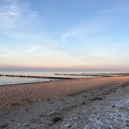 Duenenrose 7 * Boergerende-Rethwisch