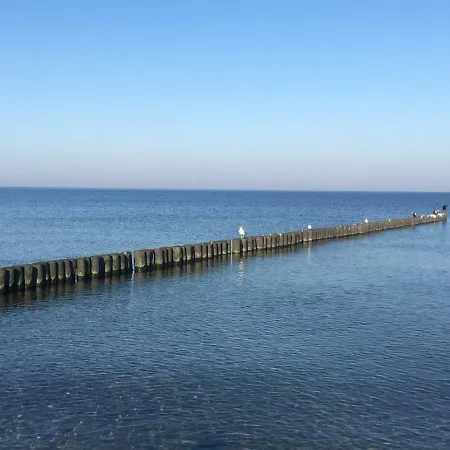 Duenenrose 7 Boergerende-Rethwisch